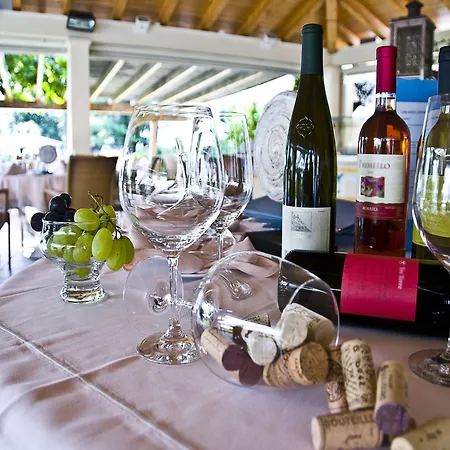 Hotel Parkhotel Delta, Wellbeing Resort 4*